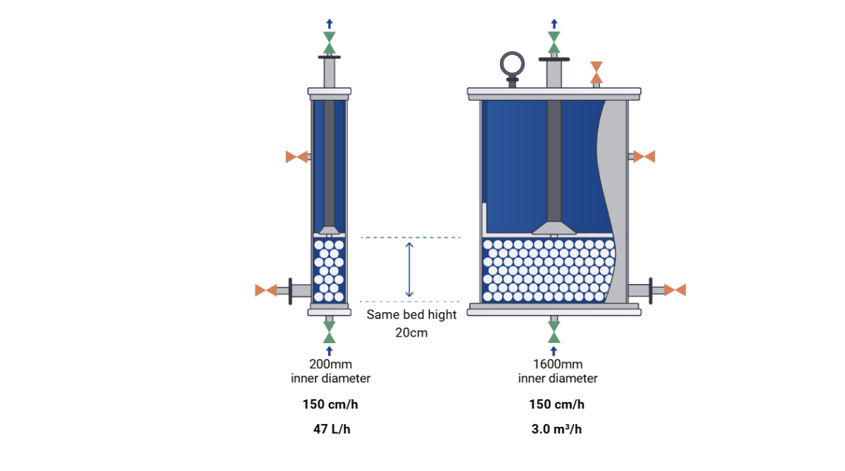 Column scale Up 2
